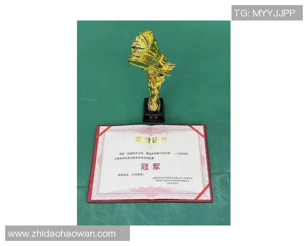 全国羽毛球灵活性评比结果揭晓上海队荣登第十名展现实力与潜力 全国羽毛球灵活性评比结果揭晓上海队荣登第十名展现实力与潜力