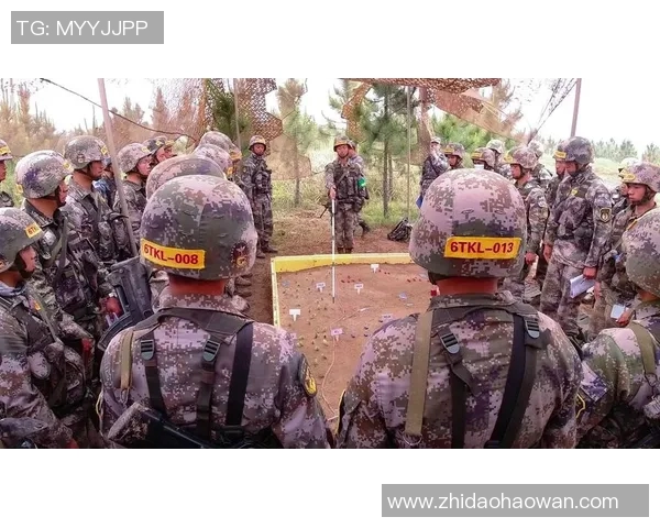 北京排球队反击战术分析与失误反思的全面评估