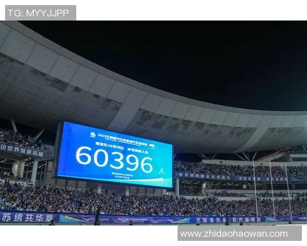 南京网球队实力揭秘:网球巨献背后的奋斗与荣耀