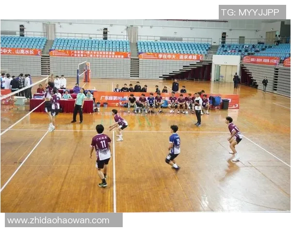 广州排球队的团队协作之道：探索排球运动中的默契与配合技巧