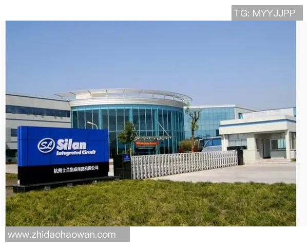 杭州排球队的力量变革引发热议全新战术与团队协作的崛起之路 杭州排球队的力量变革引发热议全新战术与团队协作的崛起之路