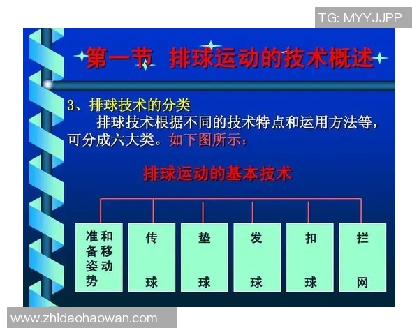 武汉排球队整体压制打法深度分析与战术解析
