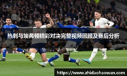 热刺与埃弗顿精彩对决完整视频回顾及赛后分析